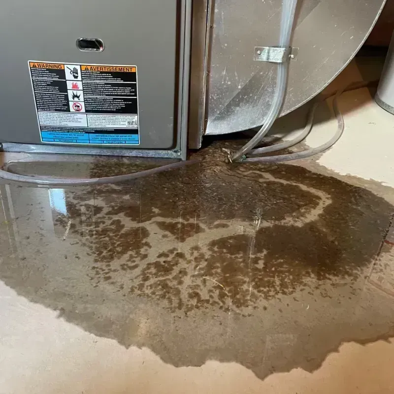 Appliance Leak Cleanup in Mattoon, IL